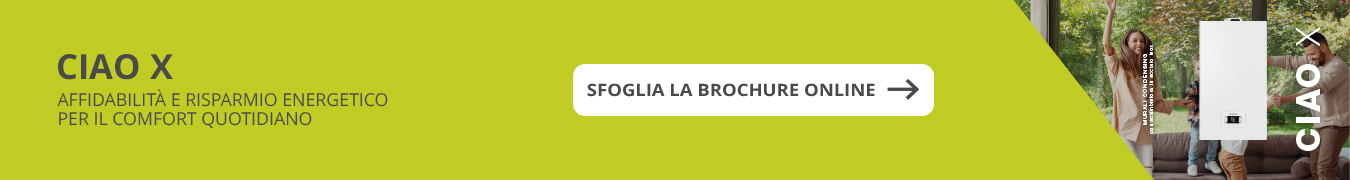 Sfoglia la brochure online